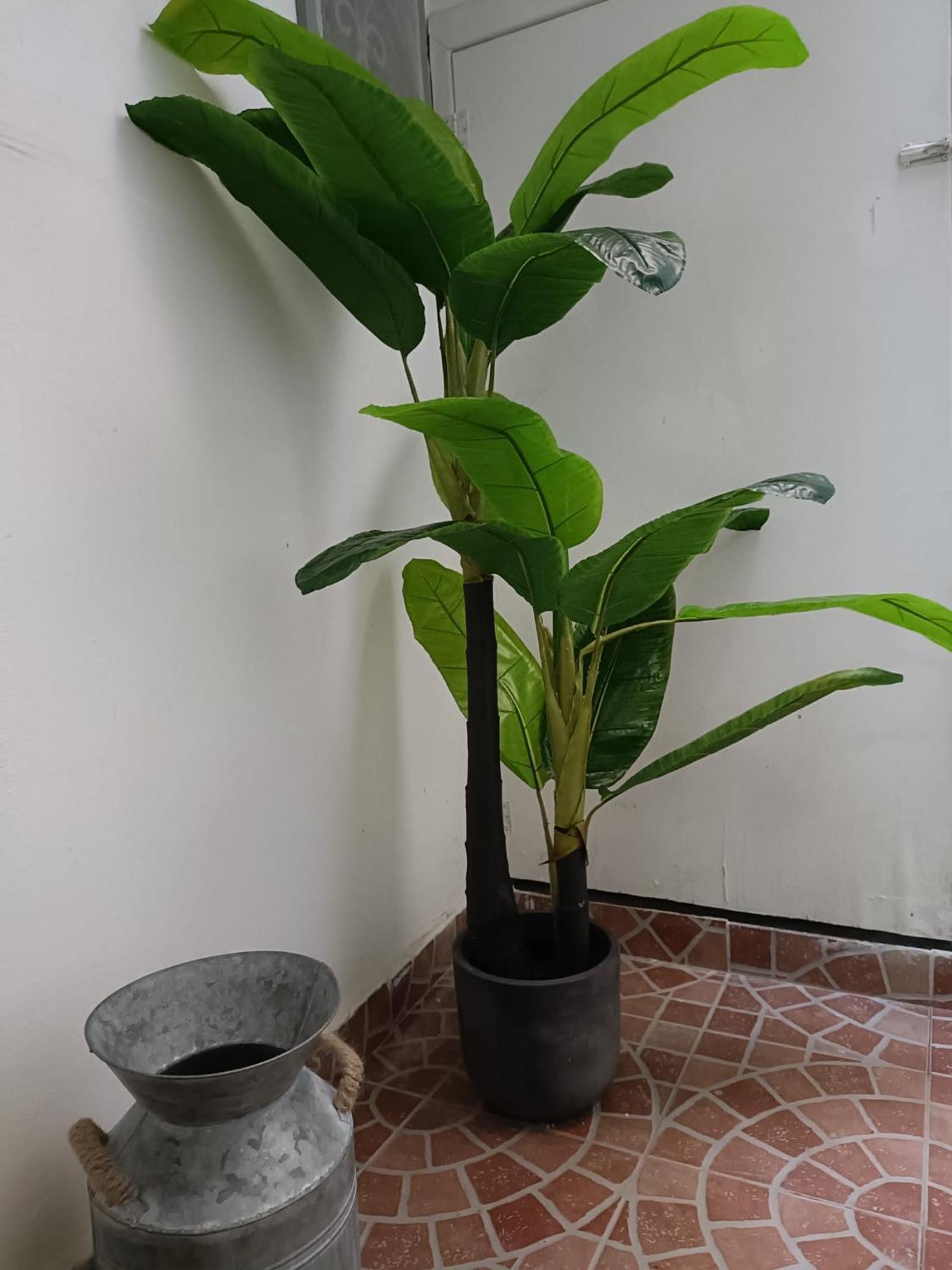Casa vacanze Vasciò Napoli